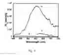 Fig. 07 - Methods and articles for strand-specific polynucleotide detection with cationic multichromophores