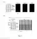 Fig. 12 - Methods and articles for strand-specific polynucleotide detection with cationic multichromophores