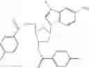 Fig. 06 - Labeling reagent