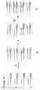 Fig. 03 - Sequencing method
