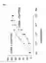 Fig. 02 - Chimeric gaba receptor