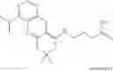 Fig. 16 - Chimeric gaba receptor