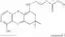 Fig. 17 - Chimeric gaba receptor