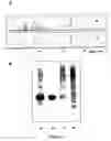 Fig. 03 - Method for purifying proteins