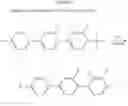 Fig. 18 - Process for the preparation of ring compounds