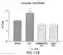Fig. 13 - Tissue protective cytokine receptor complex, assays for identifying tissue protective compounds and uses thereof