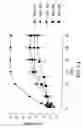 Fig. 15 - Tissue protective cytokine receptor complex, assays for identifying tissue protective compounds and uses thereof