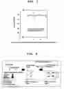 Fig. 06 - Isolation material for hormone disrupting substance, method of concentrating and method of clean-up