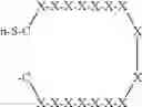 Fig. 03 - Interfacial biomaterials for binding metal substrates