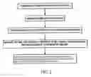 Fig. 03 - Method for classifying a microorganism in a biological sample