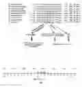Fig. 02 - Methods for expression and purification of immunotoxins
