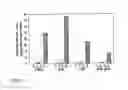 Fig. 05 - Polypeptide factor from a thermophilic eubacterial species and use thereof in the production of functional, heterologous proteins in an expression host