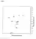 Fig. 02 - Method for synthesizing amino-acid-selectively labeled protein
