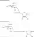 Fig. 03 - Process for producing 2-O-alpha-D-glucopyranosyl-L-ascorbic acid