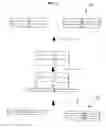 Fig. 02 - Active organic semiconductor devices and methods for making the same