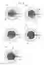 Fig. 04 - Wafer laser processing method