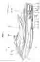 Fig. 02 - Boat propulsion unit