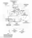 Fig. 01 - Synchronized beacon for wireless access point having multiple radios