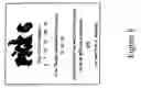 Fig. 09 - On-line lottery extension game having an instant component and a draw-based component