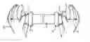 Fig. 01 - Elastic exercise apparatus