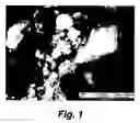 Fig. 02 - Diamond-silicon carbide composite and method