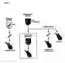 Fig. 06 - Prion decontamination