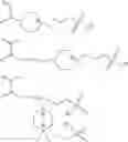Fig. 09 - Composition for cleaning or rinsing hard surfaces