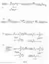 Fig. 13 - Therapies using non-natural amino acids and polypeptides