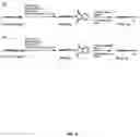 Fig. 17 - Therapies using non-natural amino acids and polypeptides