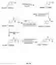 Fig. 35 - Therapies using non-natural amino acids and polypeptides