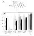Fig. 05 - Compounds binding to p-selectin