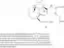 Fig. 25 - Neuroprotective macrocyclic compounds and methods for their use