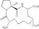 Fig. 32 - Neuroprotective macrocyclic compounds and methods for their use