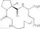 Fig. 33 - Neuroprotective macrocyclic compounds and methods for their use