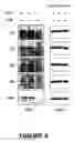 Fig. 10 - Compositions for the treatment of tumor pathologies, comprising internalin B (ln1B) of Listeria monocytogene protein or a fragment thereof