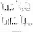 Fig. 02 - Method for modulating Nod1 activity, use of a MTP related molecule for modulating Nod1 activity, and therapeutic applications thereof