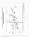 Fig. 05 - Xanthurenic acid derivative pharmaceutical compositions and methods related thereto