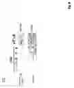 Fig. 06 - siRNA expression system