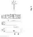 Fig. 07 - siRNA expression system