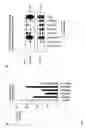 Fig. 02 - Method of stimulating an immune response and inhibiting expression of a gene using an oligonucleotide