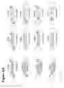 Fig. 08 - Chemically modified double stranded nucleic acid molecules that mediate RNA interference
