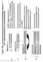 Fig. 18 - Chemically modified double stranded nucleic acid molecules that mediate RNA interference