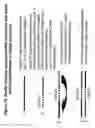 Fig. 21 - Chemically modified double stranded nucleic acid molecules that mediate RNA interference