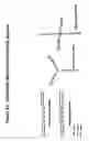 Fig. 30 - Chemically modified double stranded nucleic acid molecules that mediate RNA interference