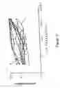 Fig. 04 - Methods of treating systemic lupus erythematosus in individuals having significantly impaired renal function