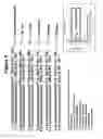 Fig. 04 - RNA interference mediated inhibition of gene expression using chemically modified short interfering nucleic acid (siNA)