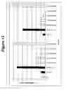 Fig. 14 - RNA interference mediated inhibition of gene expression using chemically modified short interfering nucleic acid (siNA)