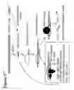 Fig. 18 - RNA interference mediated inhibition of gene expression using chemically modified short interfering nucleic acid (siNA)