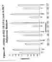Fig. 41 - RNA interference mediated inhibition of gene expression using chemically modified short interfering nucleic acid (siNA)