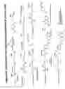 Fig. 43 - RNA interference mediated inhibition of gene expression using chemically modified short interfering nucleic acid (siNA)